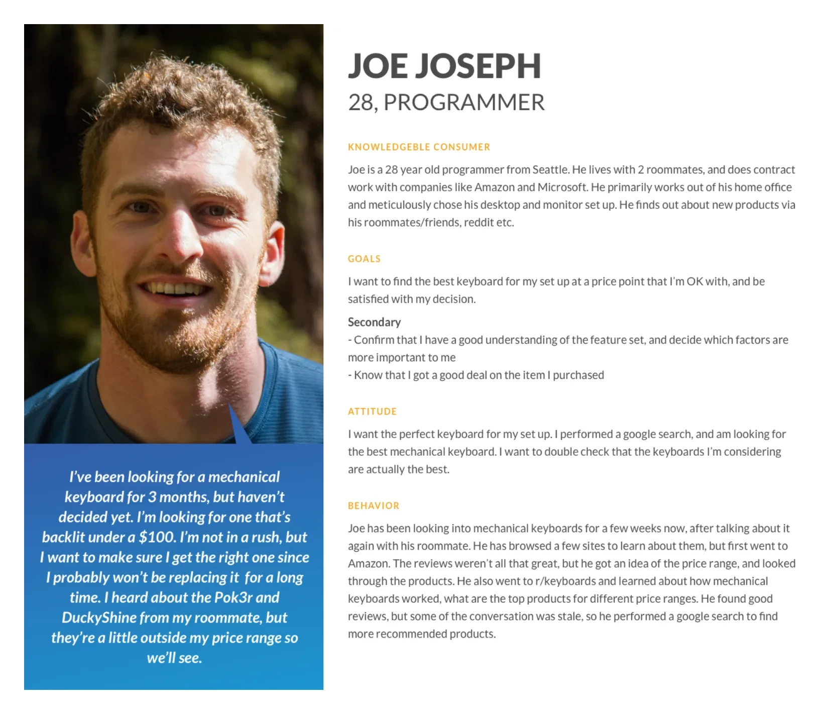 Persona for Joe Joseph, a 28-year-old programmer — a knowledgeable consumer.
